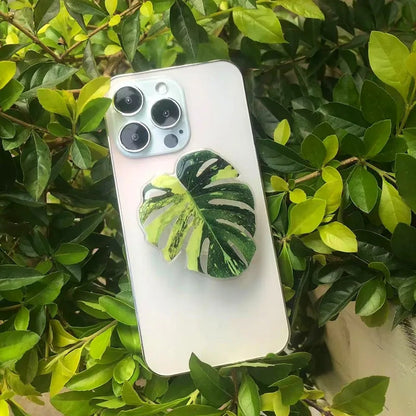 Monstera Acrylic Phone Grip