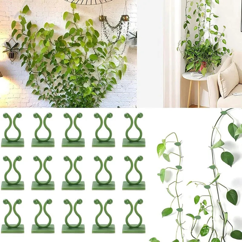 Invisible Plant Hooks