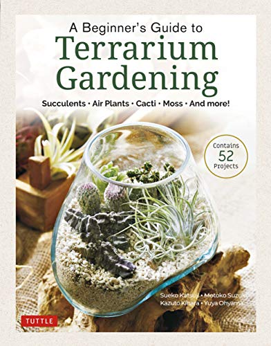 Beginner's Guide To Terrarium Gardening