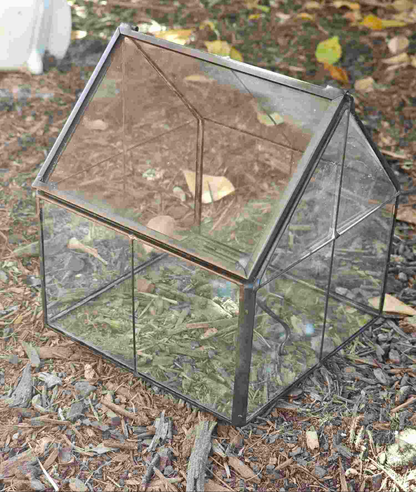 House Glass Terrarium