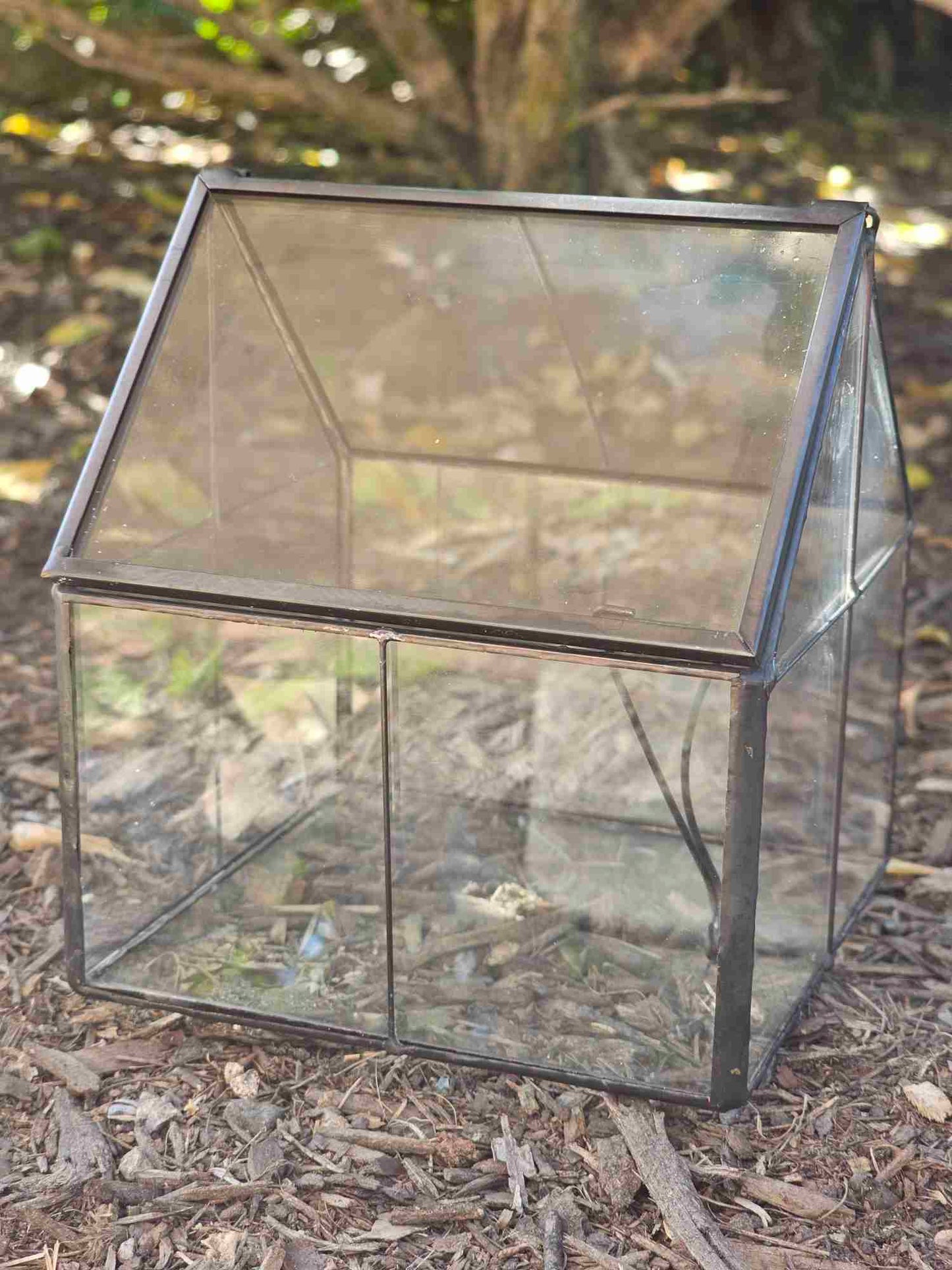 House Glass Terrarium