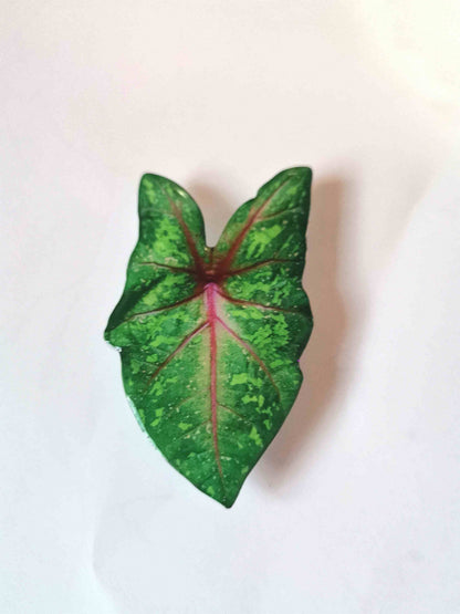 Caladium Acrylic Phone Grip