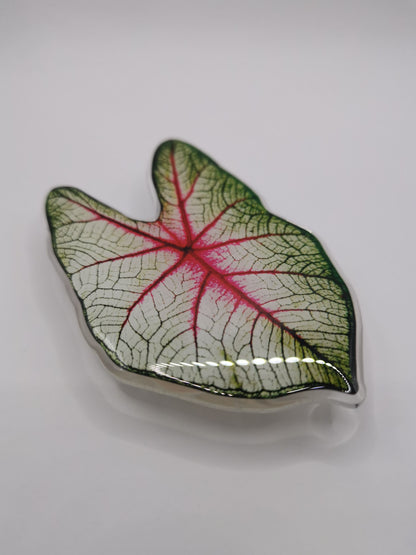 Caladium Acrylic Phone Grip