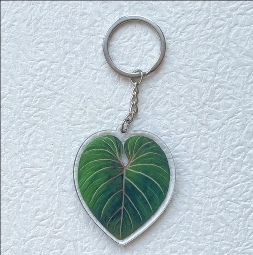 Philodendron Keyring