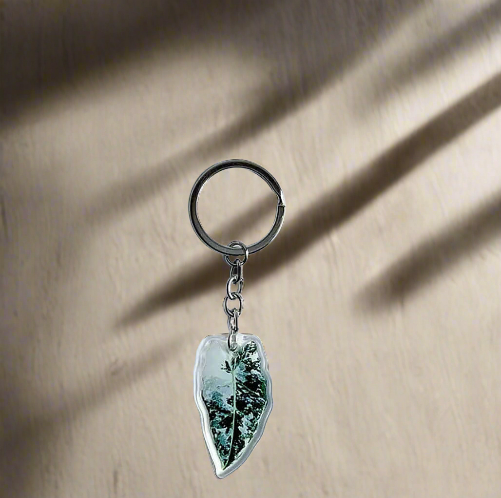 Alocasia Keyring